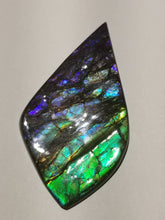 Load image into Gallery viewer, Beautiful rainbow dragonskin free form ammolite gemstone 80x45mm 5N