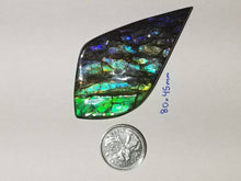 Load image into Gallery viewer, Beautiful dragonskin free form ammolite gemstone 80x45mm 5N