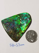 Load image into Gallery viewer, Rare purple/green dragonskin free form ammolite gemstone 58x53mm 5K