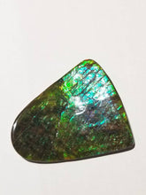 Load image into Gallery viewer, Rare purple/green dragonskin free form ammolite gemstone 58x53mm 5K