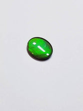Load image into Gallery viewer, Ammolite calibrated triplet 14x12 green cabochon 1pc (x34)
