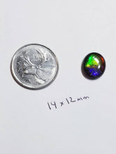 Load image into Gallery viewer, Ammolite beautiful calibrated triplet 14x12mm cabochon (x35)