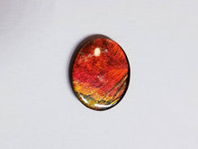 Load image into Gallery viewer, Ammolite calibrated triplet 13x11mm cabochon 1pc