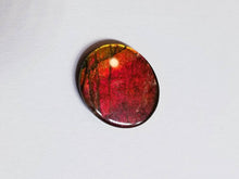Load image into Gallery viewer, Ammolite calibrated triplet 13x11mm cabochon 1pc