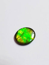 Load image into Gallery viewer, Ammolite calibrated triplet 13x11mm cabochon 1pc (x19)