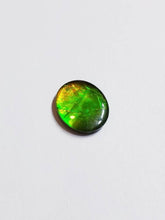 Load image into Gallery viewer, Ammolite calibrated triplet 13x11mm cabochon 1pc (x19)