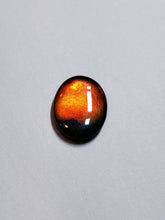 Load image into Gallery viewer, Ammolite calibrated 16x12mm triplet cabochon 1pc (x27)