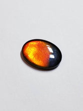 Load image into Gallery viewer, Ammolite calibrated 16x12mm triplet cabochon 1pc (x27)