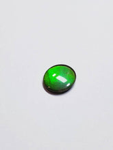 Load image into Gallery viewer, Ammolite calibrated triplet 14x12 green cabochon 1pc (x34)