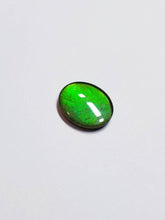 Load image into Gallery viewer, Ammolite calibrated triplet 14x12 green cabochon 1pc (x34)