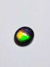 Load image into Gallery viewer, Ammolite beautiful calibrated triplet 14x12mm cabochon (x35)