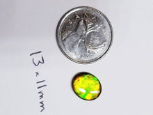 Load image into Gallery viewer, Ammolite calibrated triplet 13x11mm cabochon 1pc (x19)