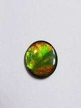 Load image into Gallery viewer, Ammolite calibrated triplet 13x11mm cabochon 1pc (x19)