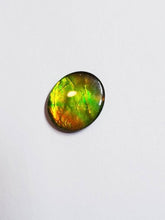 Load image into Gallery viewer, Ammolite calibrated triplet 13x11mm cabochon 1pc (x19)