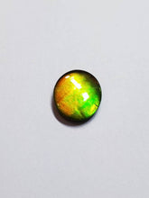 Load image into Gallery viewer, Ammolite calibrated 14x12mm triplet cabochon (x32)