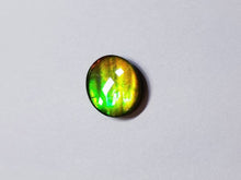 Load image into Gallery viewer, Ammolite calibrated 14x12mm triplet cabochon (x32)