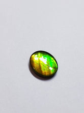 Load image into Gallery viewer, Ammolite calibrated 14x12mm triplet cabochon (x32)