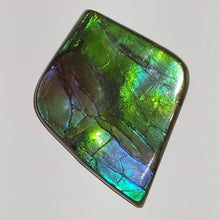 Load image into Gallery viewer, Purple/green/blue very beautiful AAA ammolite cabochon gemstone 50x38mm collector grade