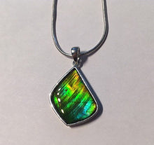 Load image into Gallery viewer, Ammolite pendant in Sterling Silver with gorgeous greens and blues, flashes of gold