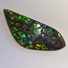 Load image into Gallery viewer, Beautiful multicoloured dragonskin free form ammolite gemstone 69x28 mm