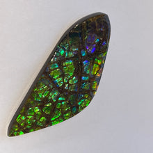 Load image into Gallery viewer, Beautiful multicoloured dragonskin free form ammolite gemstone 69x28 mm