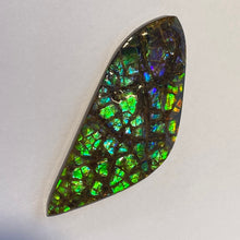 Load image into Gallery viewer, Beautiful multicoloured dragonskin free form ammolite gemstone 69x28 mm