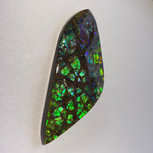 Load image into Gallery viewer, Beautiful multicoloured dragonskin free form ammolite gemstone 69x28 mm