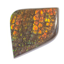 Load image into Gallery viewer, Beautiful multicoloured dragonskin free form ammolite gemstone 45x35 mm