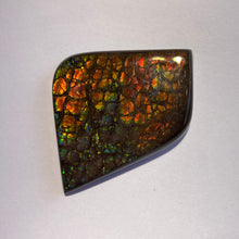 Load image into Gallery viewer, Beautiful multicoloured dragonskin free form ammolite gemstone 45x35 mm