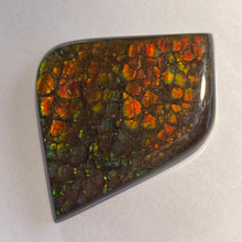 Load image into Gallery viewer, Beautiful multicoloured dragonskin free form ammolite gemstone 45x35 mm