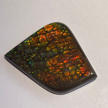 Load image into Gallery viewer, Beautiful multicoloured dragonskin free form ammolite gemstone 45x35 mm