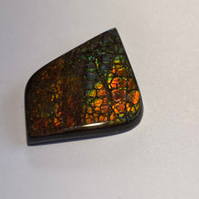 Load image into Gallery viewer, Beautiful multicoloured dragonskin free form ammolite gemstone 45x35 mm