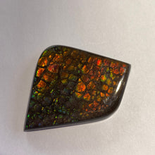 Load image into Gallery viewer, Beautiful multicoloured dragonskin free form ammolite gemstone 45x35 mm