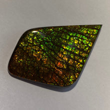 Load image into Gallery viewer, Beautiful multicoloured dragonskin free form ammolite gemstone 50x34 mm