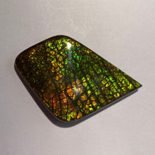 Load image into Gallery viewer, Beautiful multicoloured dragonskin free form ammolite gemstone 50x34 mm