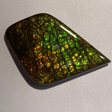 Load image into Gallery viewer, Beautiful multicoloured dragonskin free form ammolite gemstone 50x34 mm