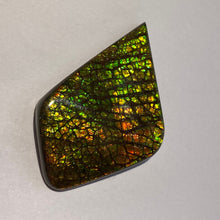 Load image into Gallery viewer, Beautiful multicoloured dragonskin free form ammolite gemstone 50x34 mm