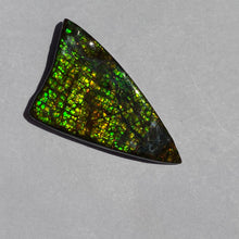 Load image into Gallery viewer, Beautiful golden/green/orange dragon skin ammolite 45x25 mm