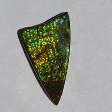 Load image into Gallery viewer, Beautiful golden/green/orange dragon skin ammolite 45x25 mm
