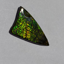 Load image into Gallery viewer, Beautiful golden/green/orange dragon skin ammolite 45x25 mm