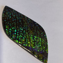 Load image into Gallery viewer, Beautiful green/blue/aqua and stripe of purple in dragon skin ammolite 79x39 mm