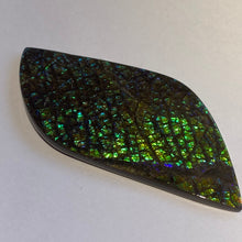 Load image into Gallery viewer, Beautiful green/blue/aqua and stripe of purple in dragon skin ammolite 79x39 mm