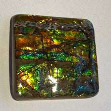 Load image into Gallery viewer, Beautiful bright golden multicoloured ammolite 40x38 mm
