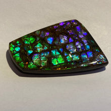 Load image into Gallery viewer, Rare pink/purple/green with spots of ember orange and red dragon skin ammolite