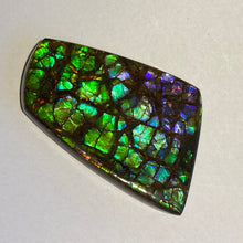 Load image into Gallery viewer, Rare pink/purple/green with spots of ember orange and red dragon skin ammolite