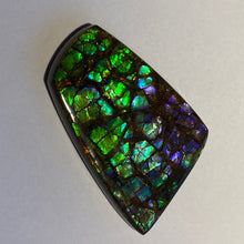 Load image into Gallery viewer, Rare pink/purple/green with spots of ember orange and red dragon skin ammolite