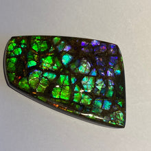 Load image into Gallery viewer, Rare pink/purple/green with spots of ember orange and red dragon skin ammolite