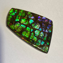 Load image into Gallery viewer, Rare pink/purple/green with spots of ember orange and red dragon skin ammolite