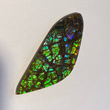 Load image into Gallery viewer, Beautiful multicoloured dragonskin free form ammolite gemstone 69x28 mm