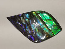 Load image into Gallery viewer, Beautiful dragonskin free form ammolite gemstone 80x45mm 5N